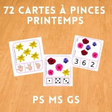Cartes A Pinces Printemps M1 M2 M3